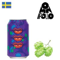 Omnipollo Chewy Chewy Chewy 330ml CAN - Drink Online - Drink Shop