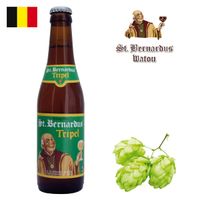St. Bernardus Tripel 330ml - Drink Online - Drink Shop